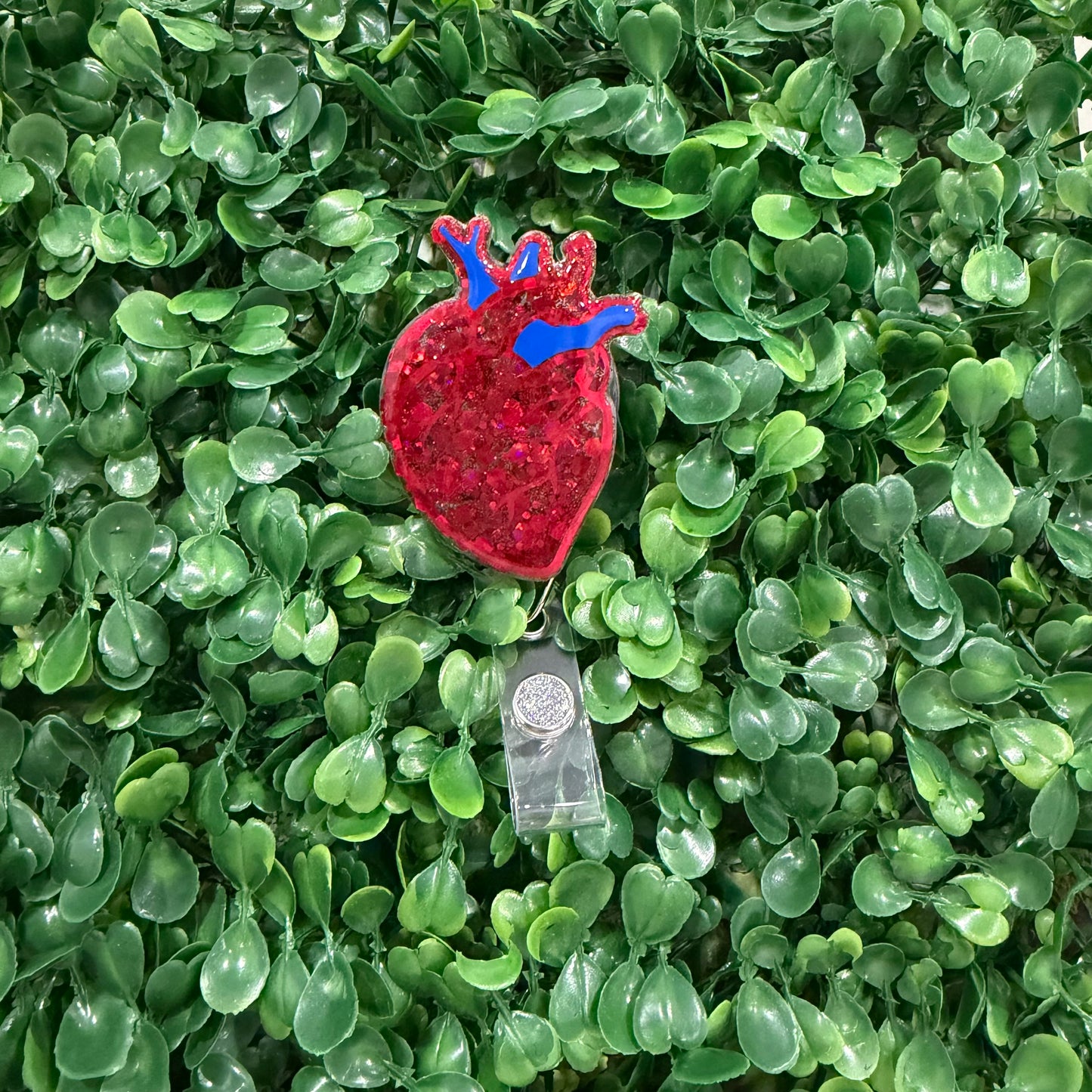 Anatomical Heart