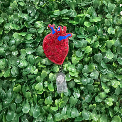 Anatomical Heart